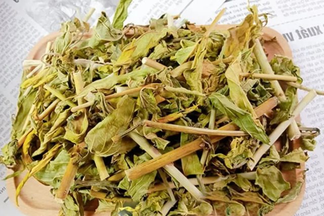 Bài thuốc chữa sẹo lồi từ cây bìm bịp